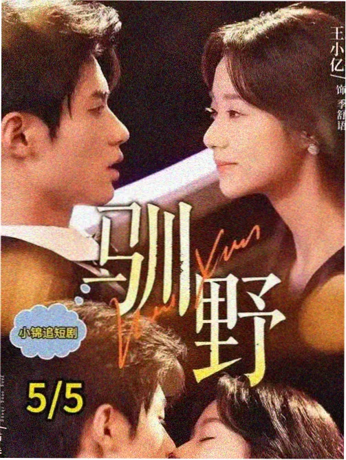 白塔之下都市职场剧免费在线观看